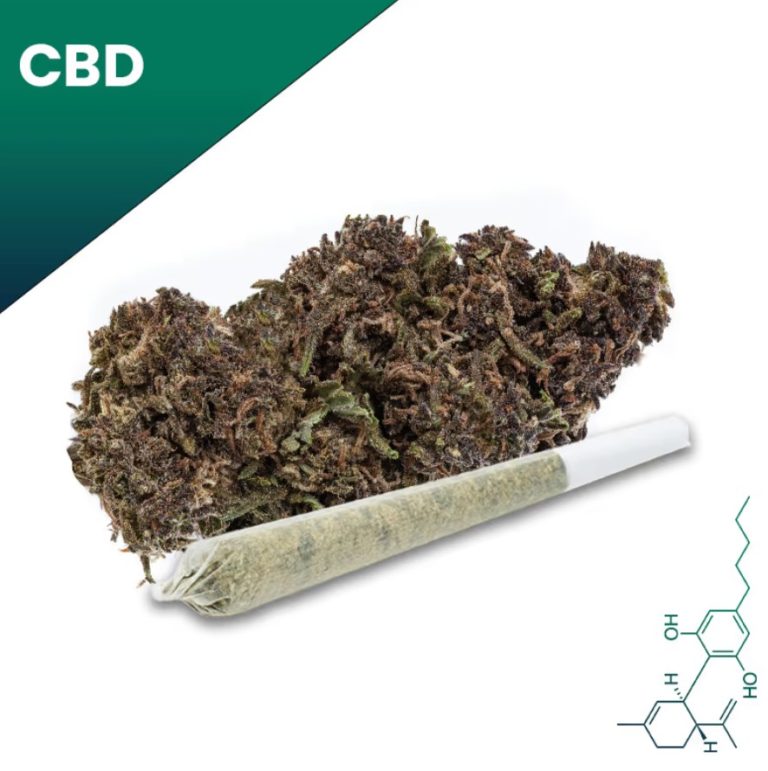 Abacus 2.0 CBD Pre Roll Copy 768x771