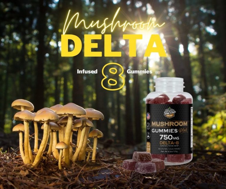 326362331 729106458549300 8363664768660075049 n 768x644