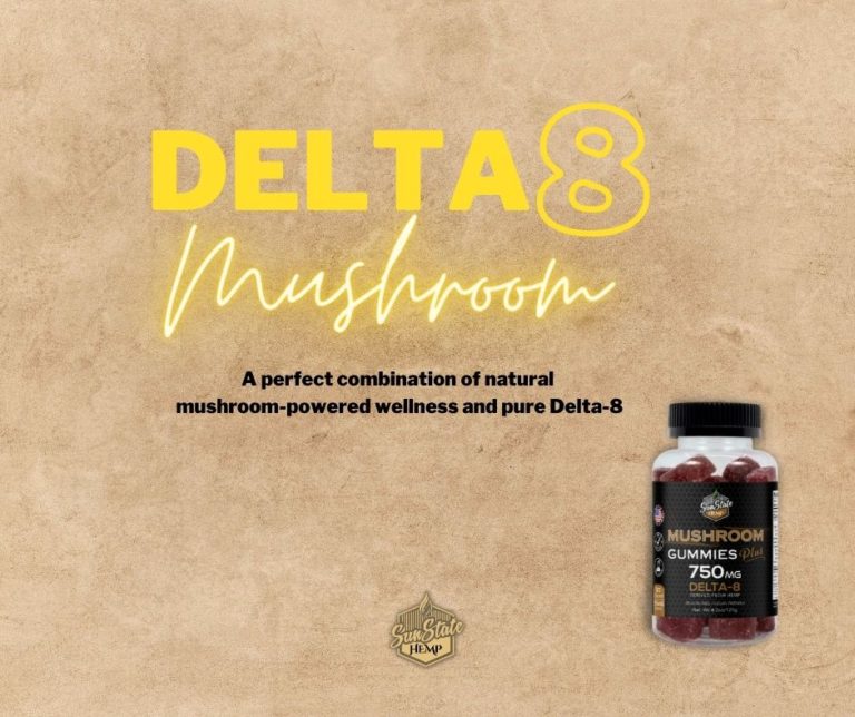 327329568 3286671908214861 5584898711717372061 n 768x644