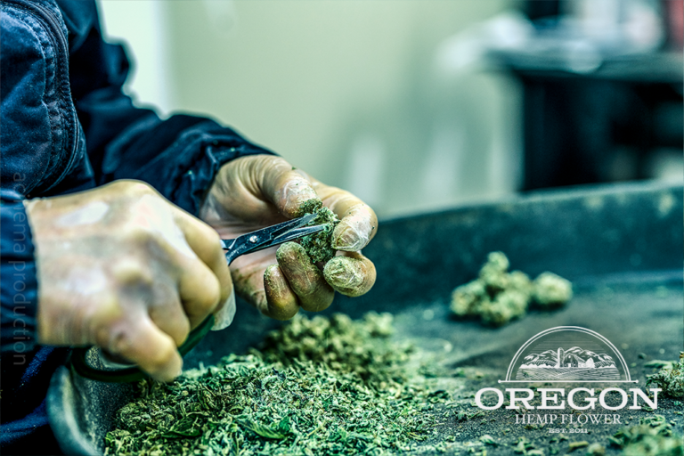 Oregon Hemp Flower 7 768x512