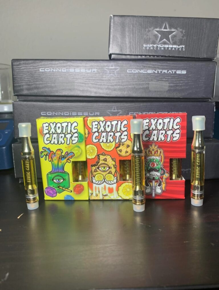 WhatsApp Image 2023 05 10 at 6.55.59 PM 1 768x1017