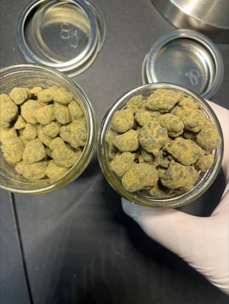 WhatsApp Image 2023 05 16 at 6.07.20 PM 768x1019