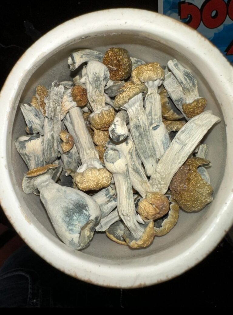 photo 5990182959677816605 y 1 768x1038