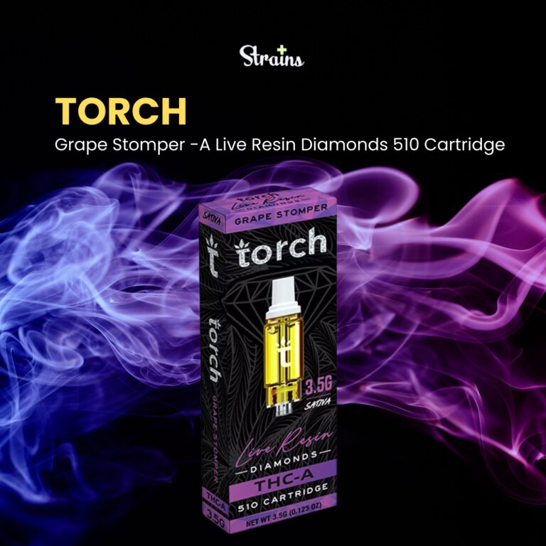 422093053 122100860174213474 2185289985430588268 n 768x768