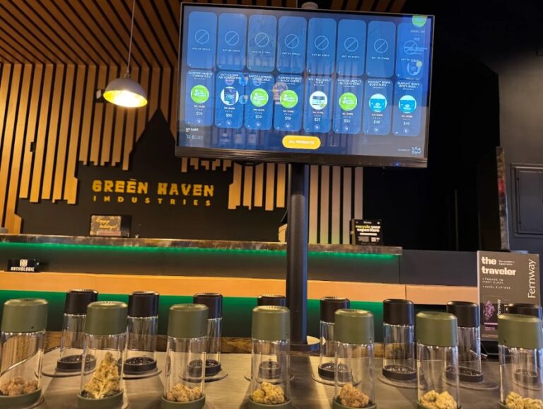 Screenshot 25 768x578