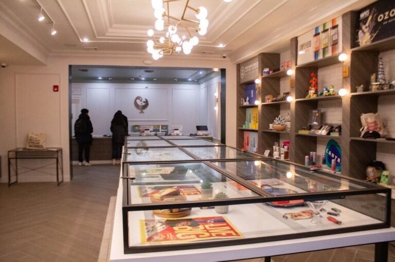 Screenshot 29 768x510