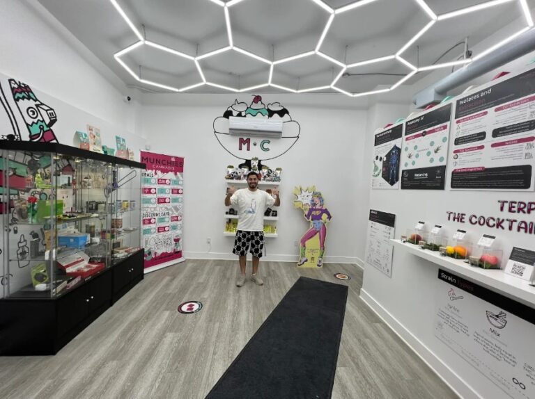 Screenshot 13 768x574