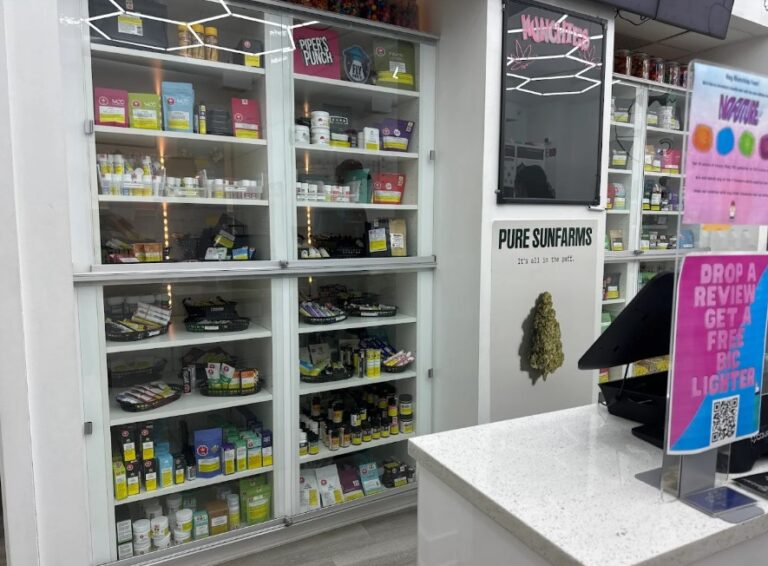 Screenshot 15 768x566