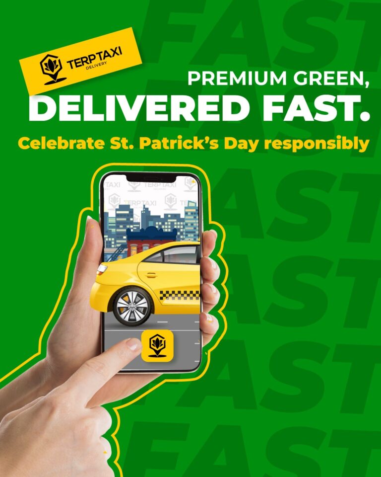 653995350 122176330484749784 4463439676599267200 n 768x960